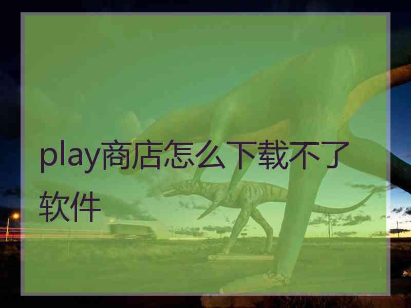 play商店怎么下载不了软件