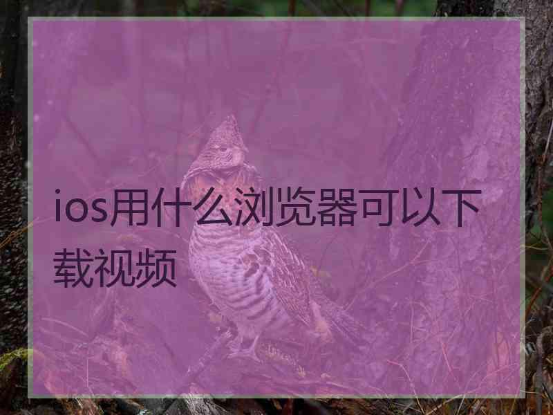 ios用什么浏览器可以下载视频