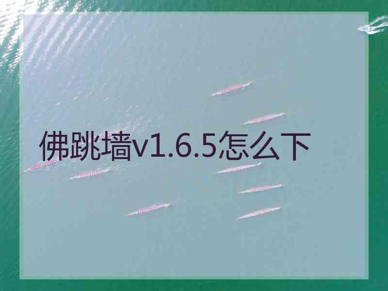 佛跳墙v1.6.5怎么下