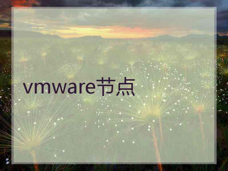 vmware节点