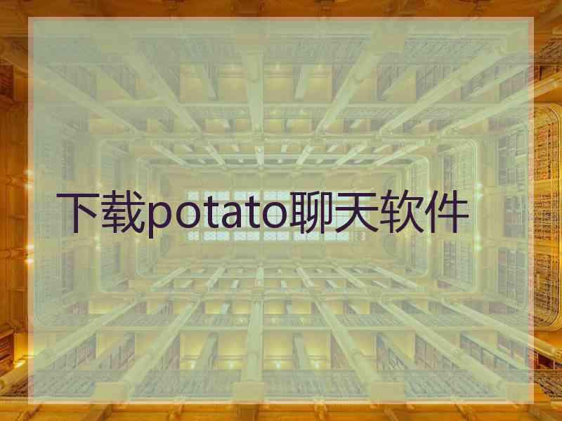 下载potato聊天软件