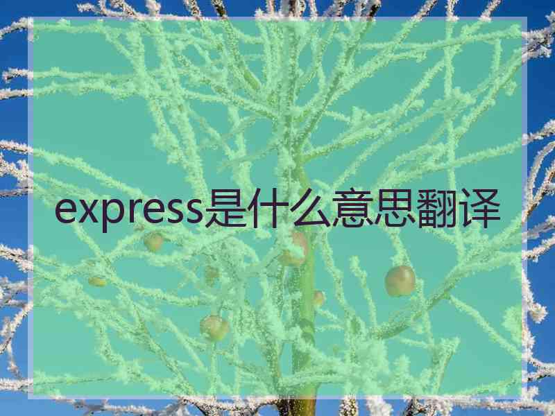 express是什么意思翻译