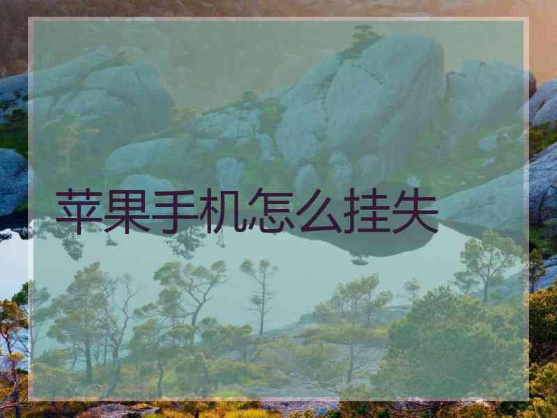 苹果手机怎么挂失