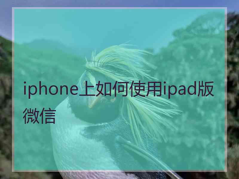 iphone上如何使用ipad版微信