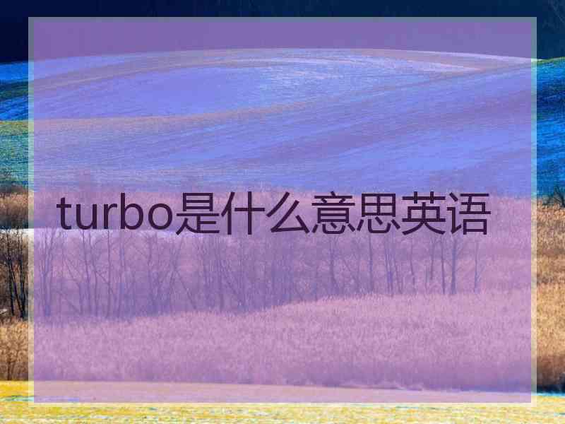 turbo是什么意思英语