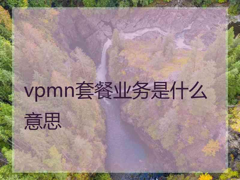 vpmn套餐业务是什么意思