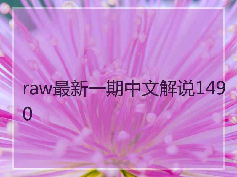 raw最新一期中文解说1490