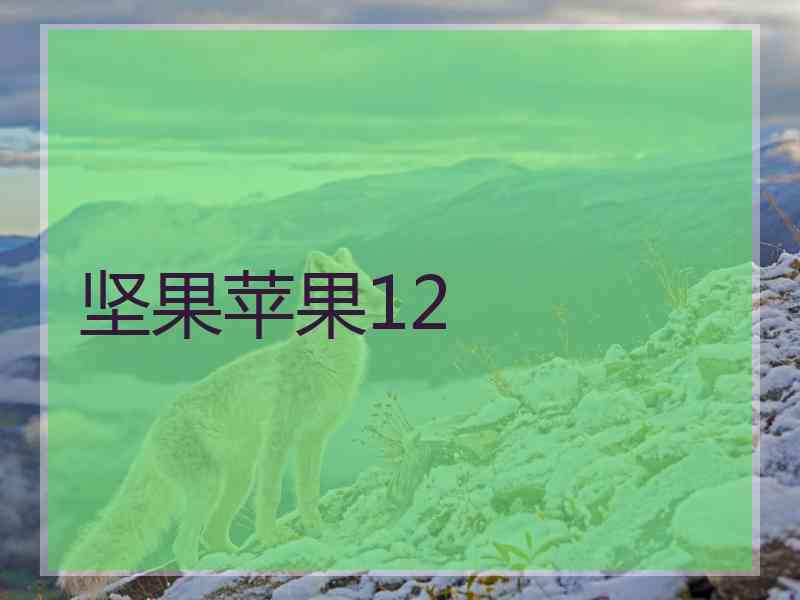 坚果苹果12