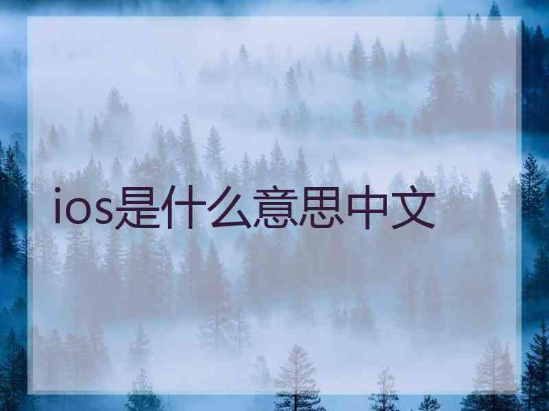 ios是什么意思中文