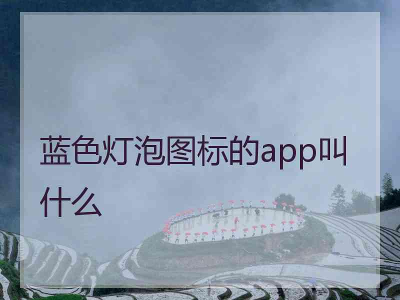 蓝色灯泡图标的app叫什么