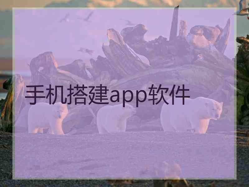 手机搭建app软件