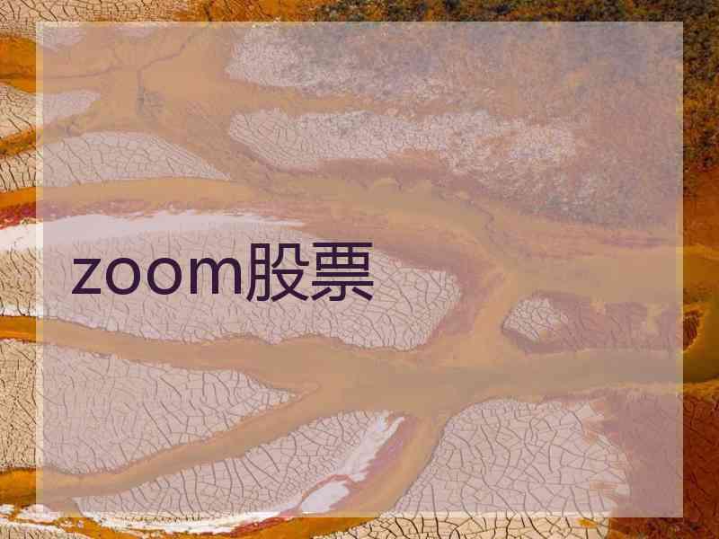 zoom股票