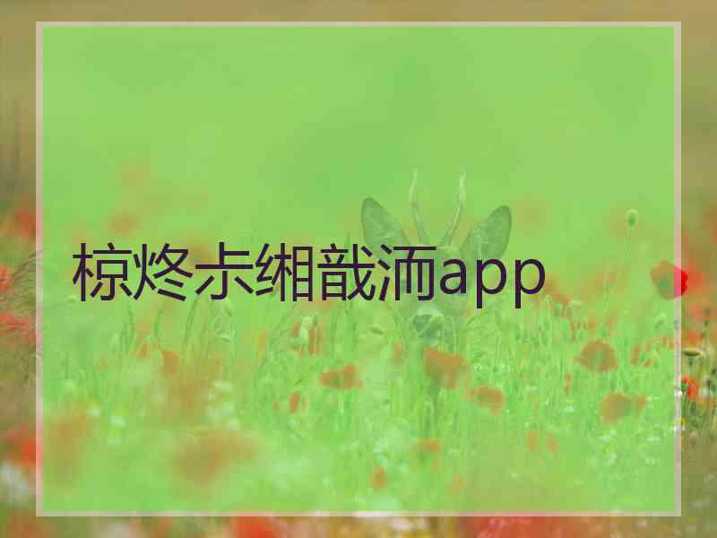 椋炵尗缃戠洏app