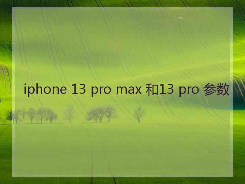 iphone 13 pro max 和13 pro 参数