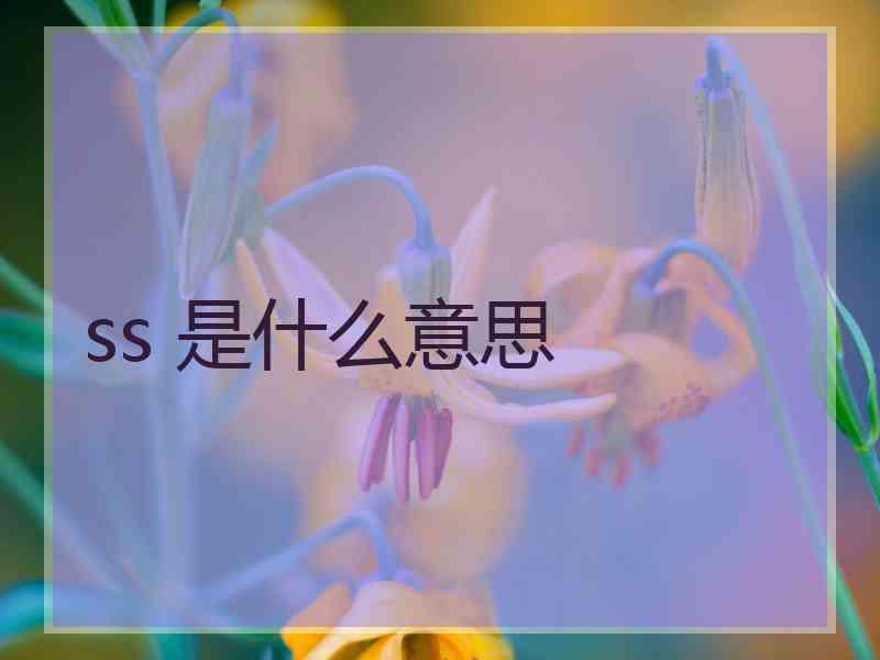 ss 是什么意思