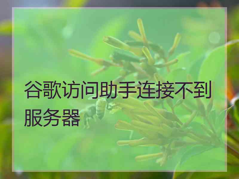 谷歌访问助手连接不到服务器