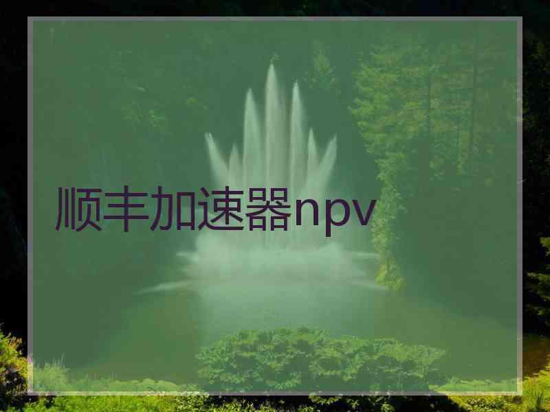 顺丰加速器npv