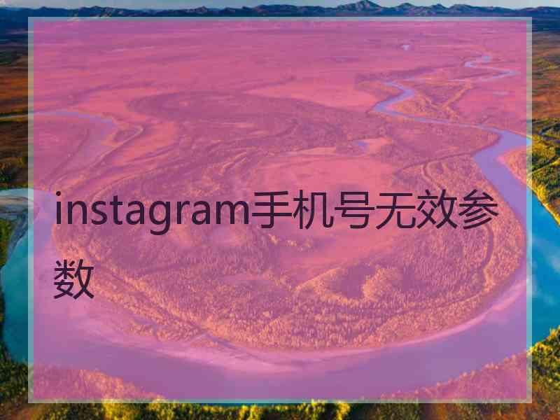 instagram手机号无效参数