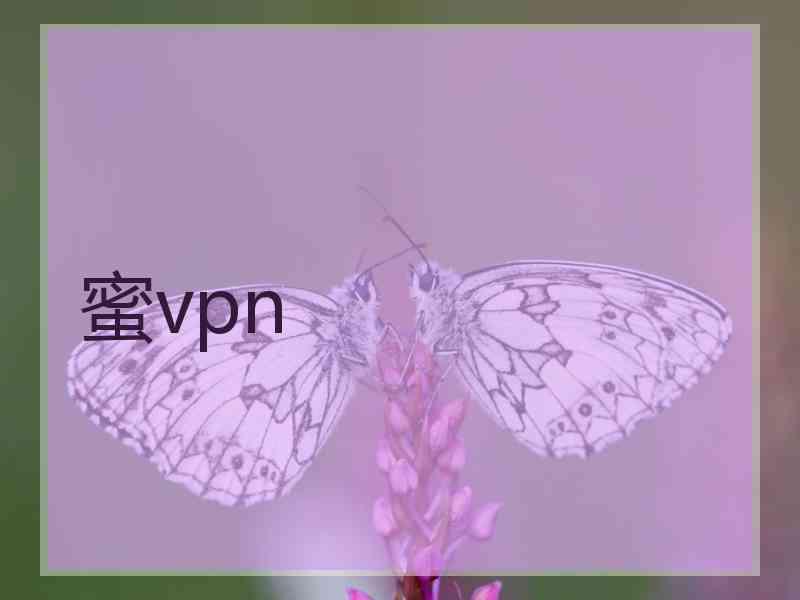 蜜vpn