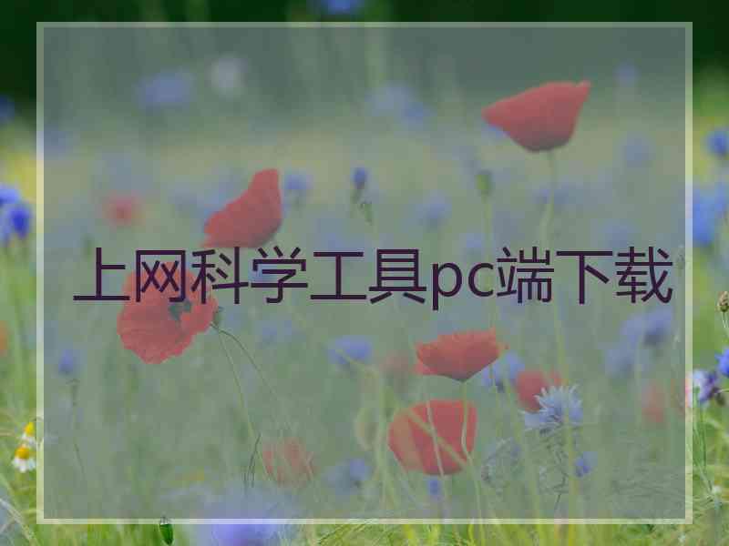 上网科学工具pc端下载