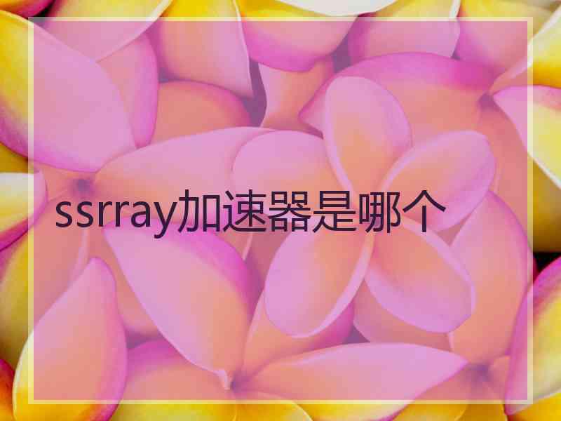 ssrray加速器是哪个