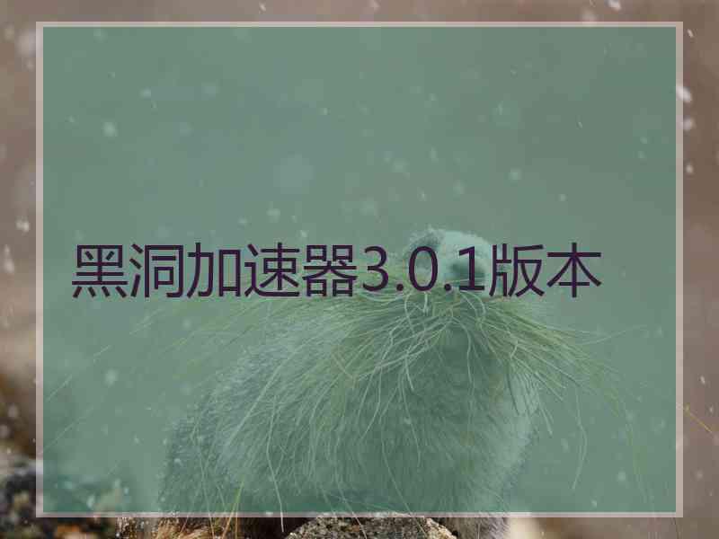 黑洞加速器3.0.1版本