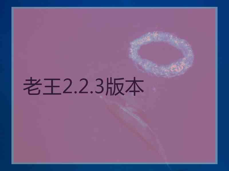 老王2.2.3版本