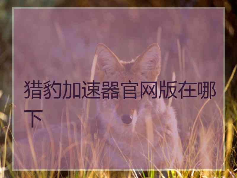 猎豹加速器官网版在哪下