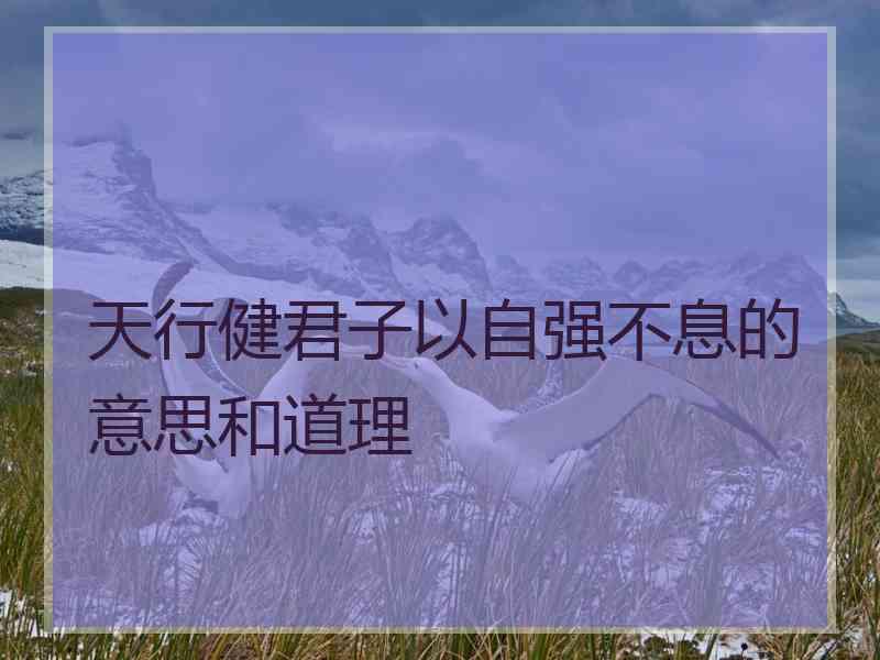 天行健君子以自强不息的意思和道理