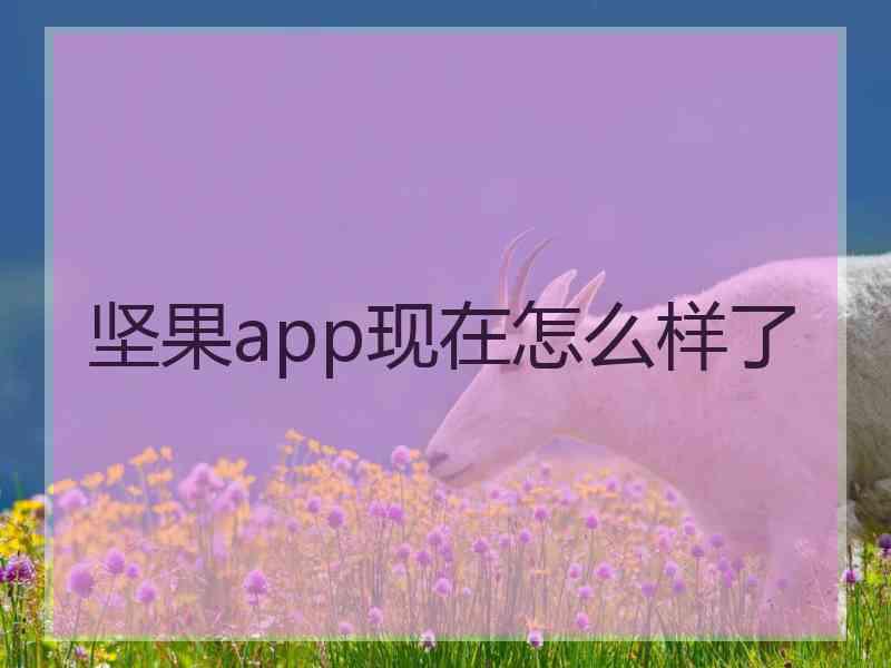 坚果app现在怎么样了