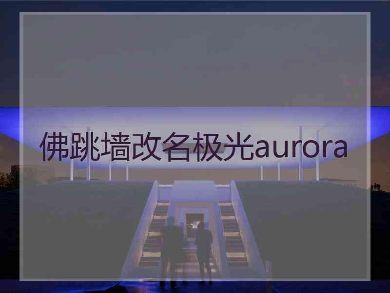 佛跳墙改名极光aurora