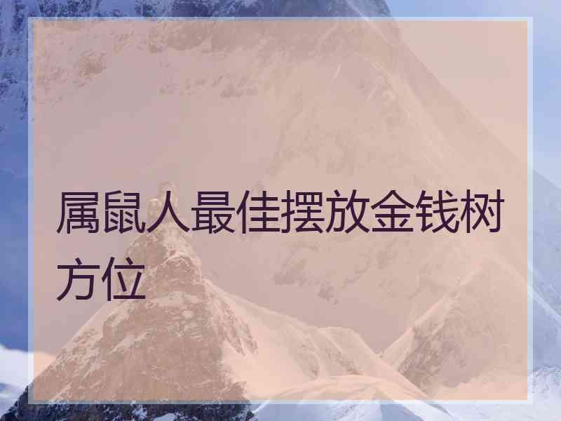 属鼠人最佳摆放金钱树方位