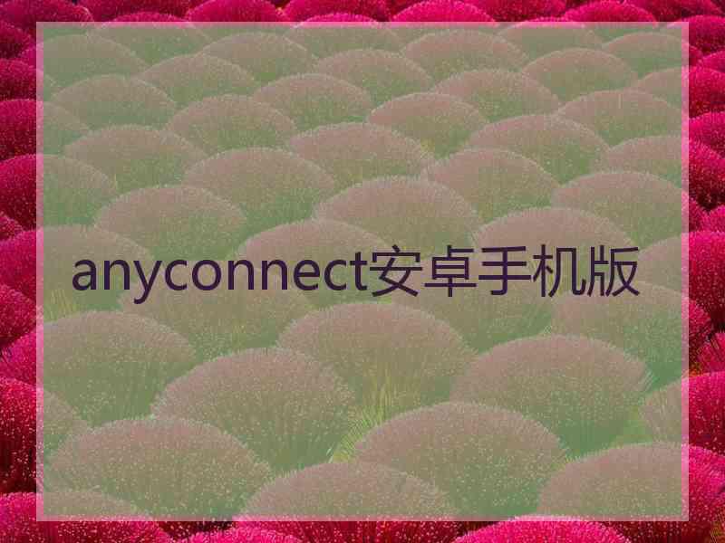 anyconnect安卓手机版