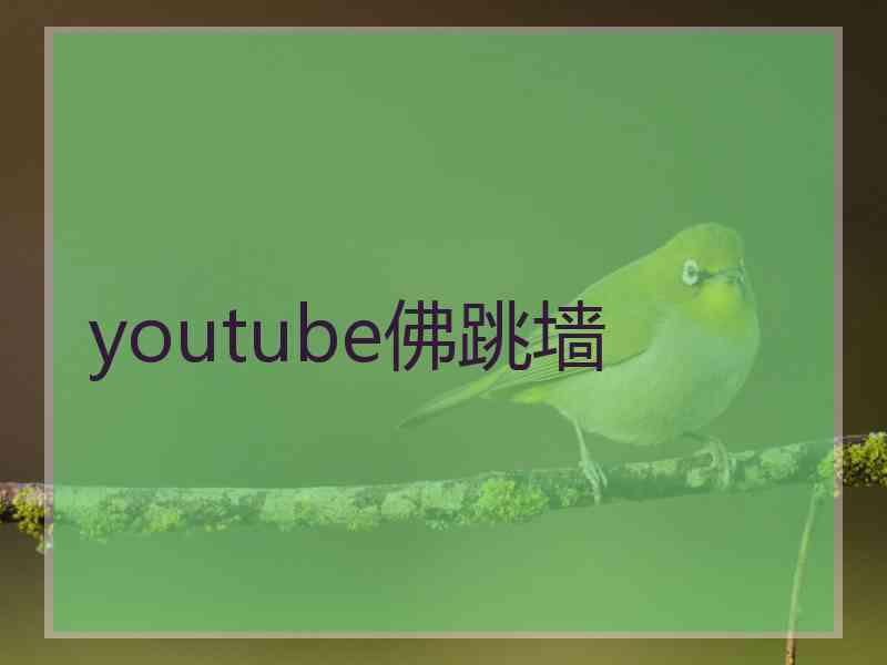 youtube佛跳墙