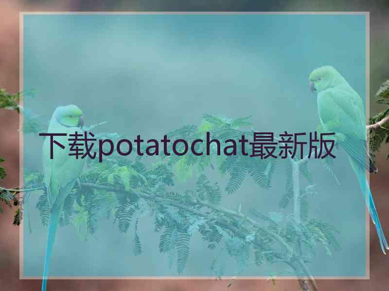 下载potatochat最新版