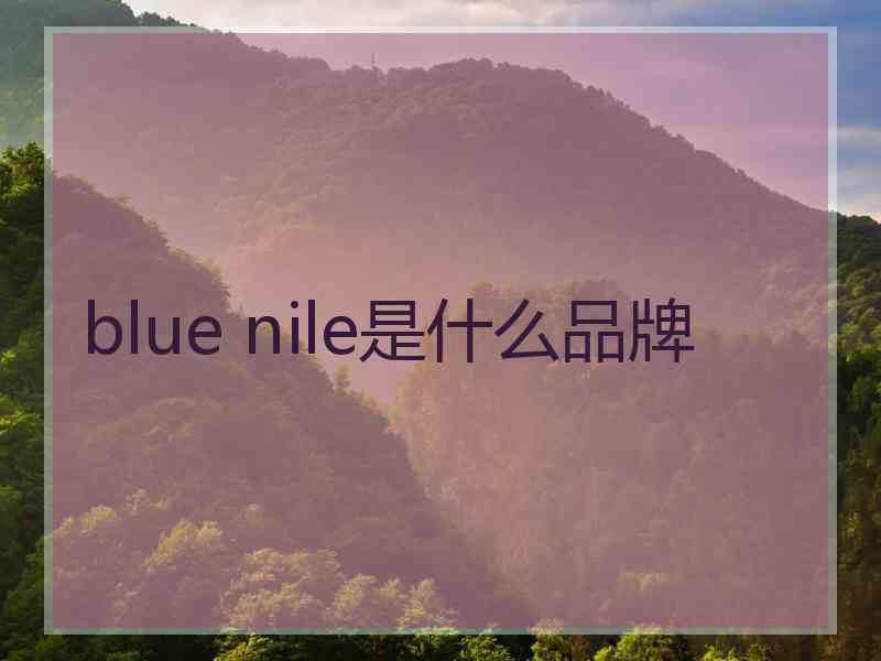 blue nile是什么品牌