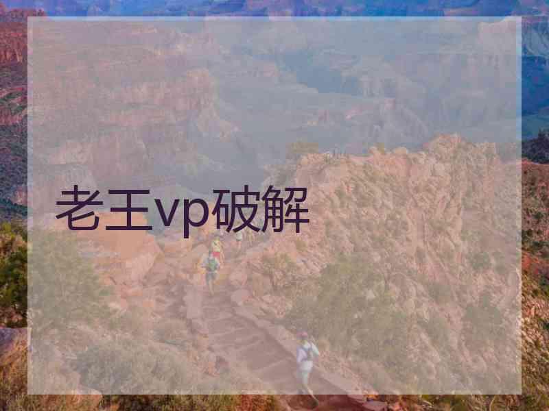 老王vp破解