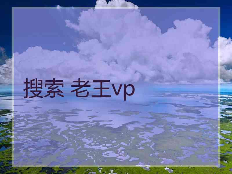 搜索 老王vp