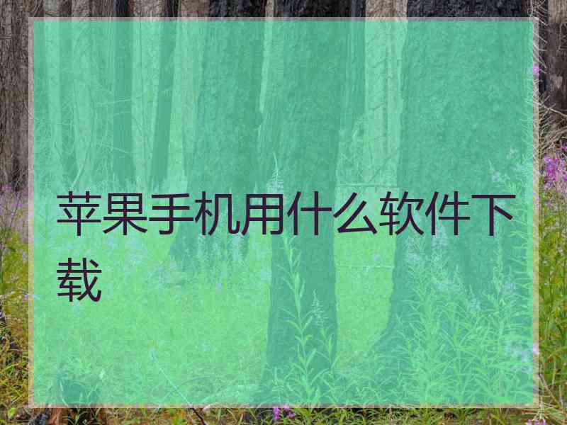 苹果手机用什么软件下载