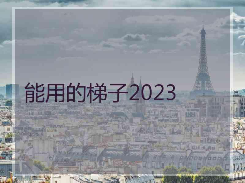 能用的梯子2023