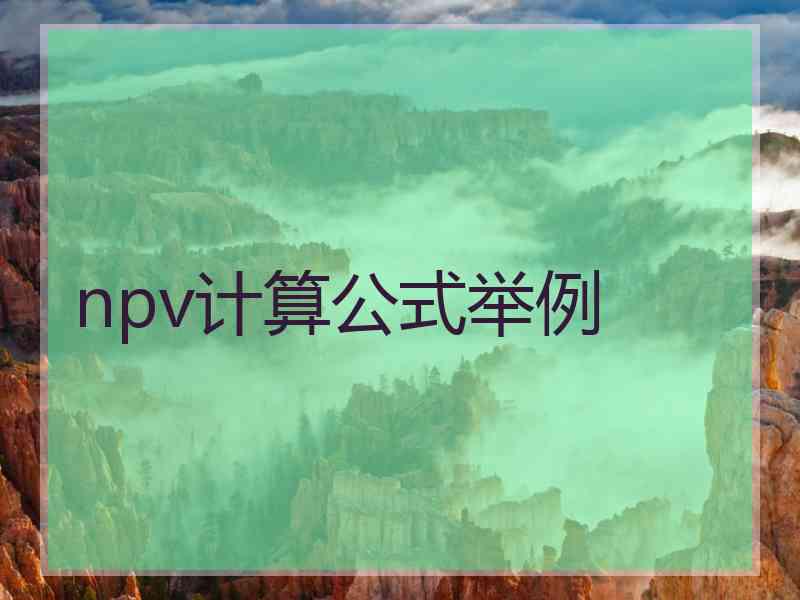 npv计算公式举例