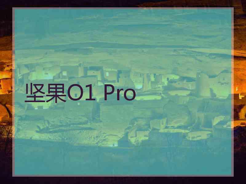 坚果O1 Pro