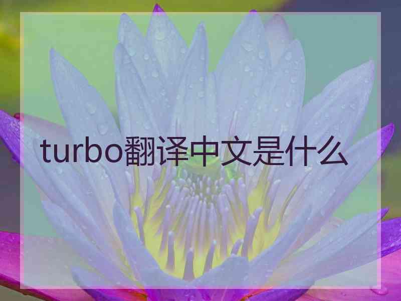 turbo翻译中文是什么