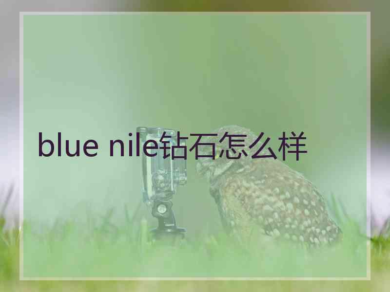 blue nile钻石怎么样