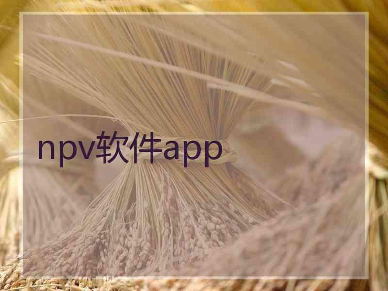 npv软件app