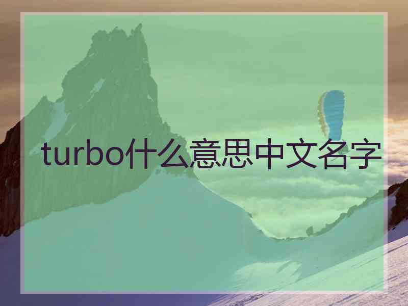 turbo什么意思中文名字