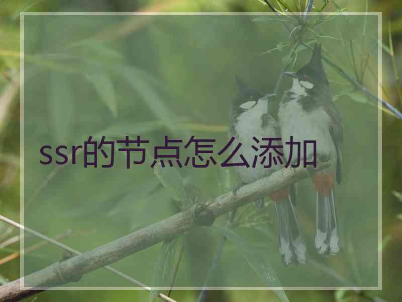 ssr的节点怎么添加