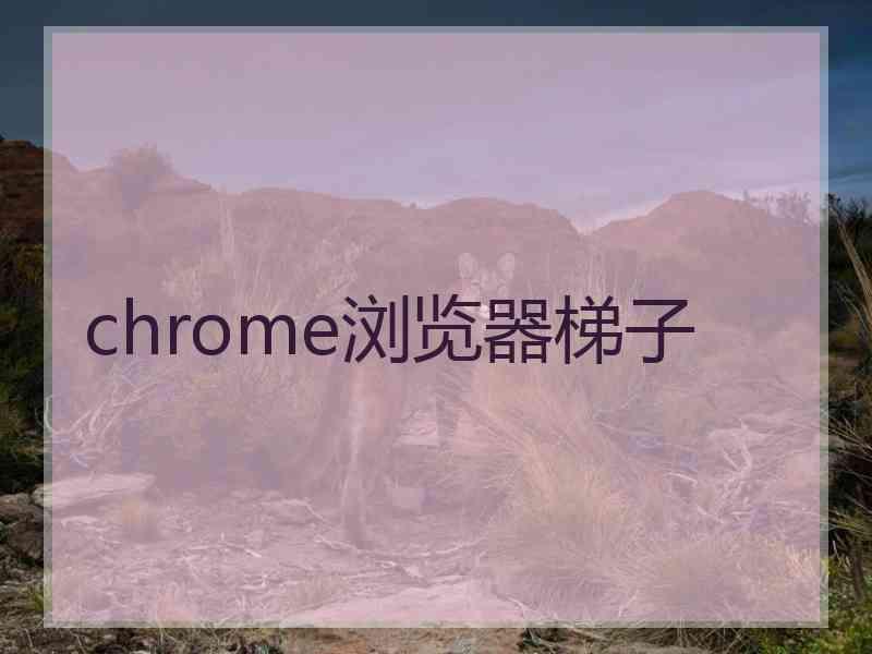 chrome浏览器梯子