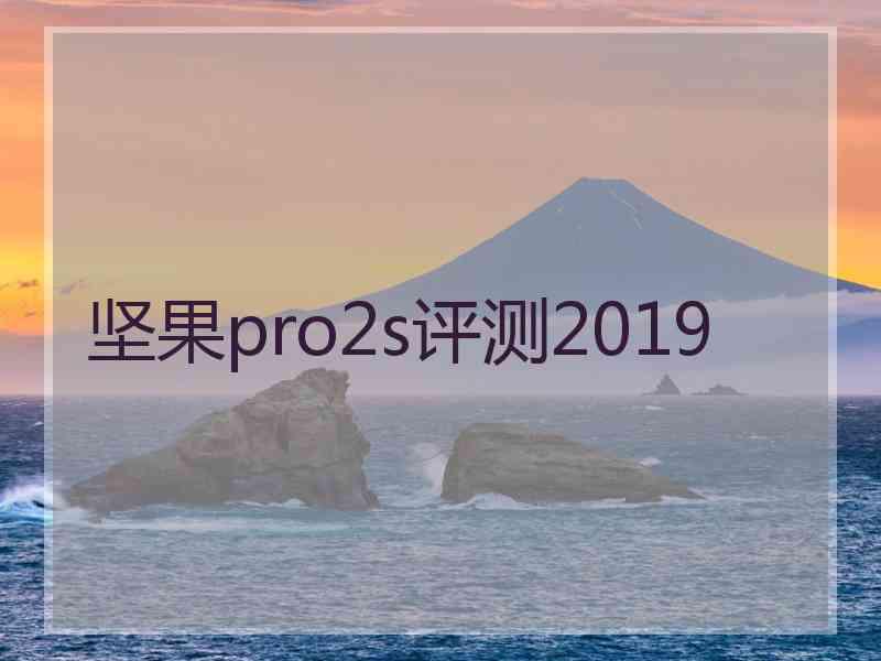 坚果pro2s评测2019