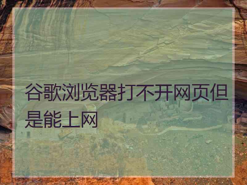 谷歌浏览器打不开网页但是能上网